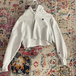 small champion cropped hoodie